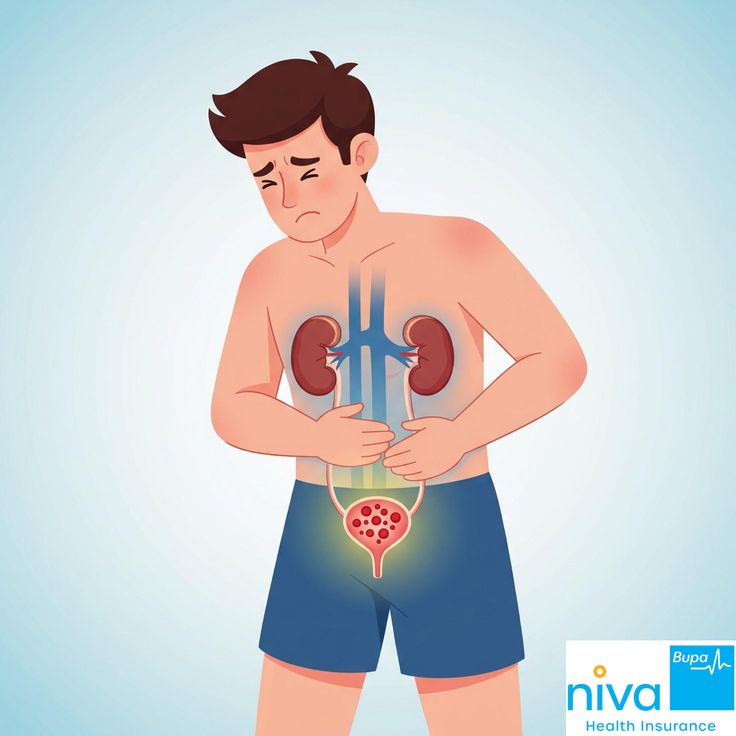 Urinary system illustration showing kidney and bladder symptoms